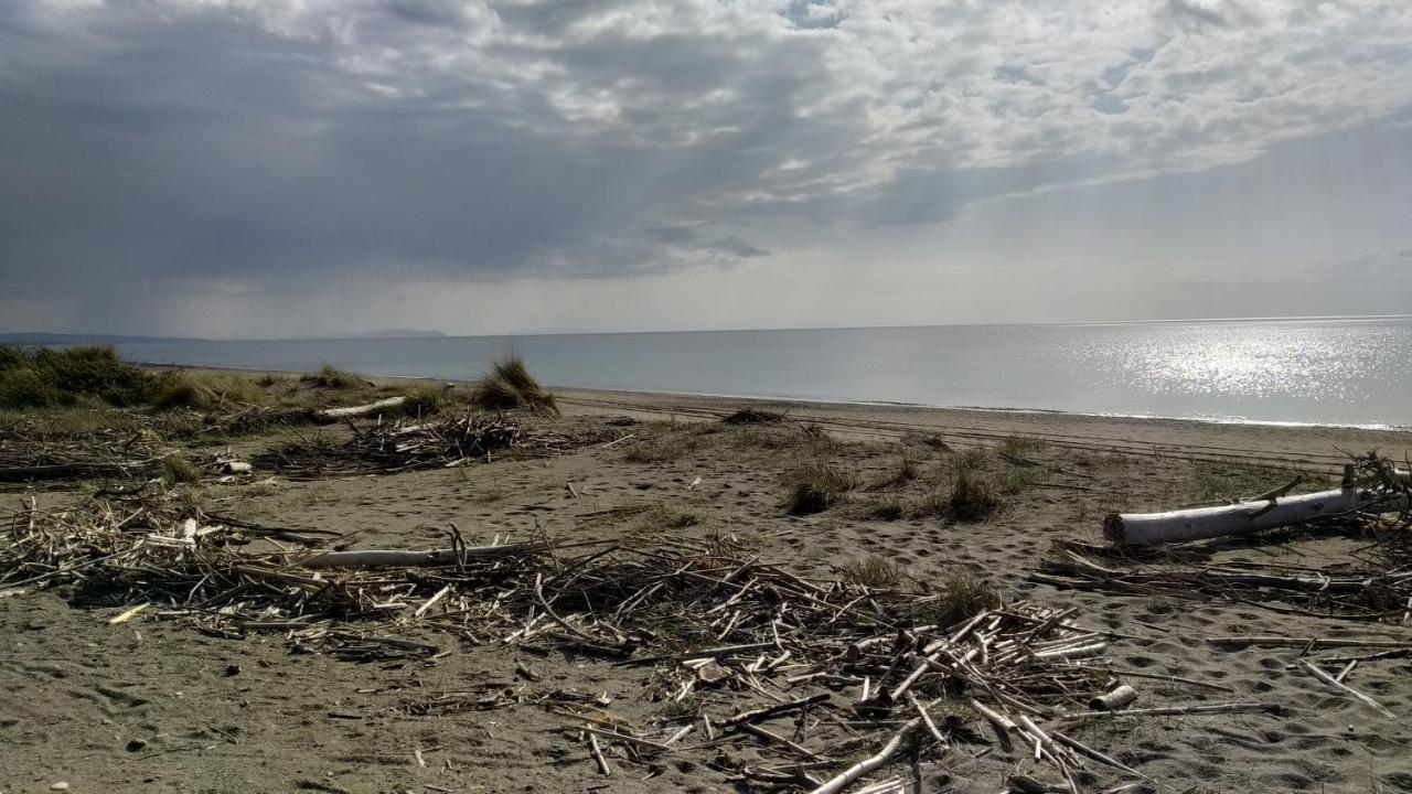 Dimora Beach เชชินา ภายนอก รูปภาพ